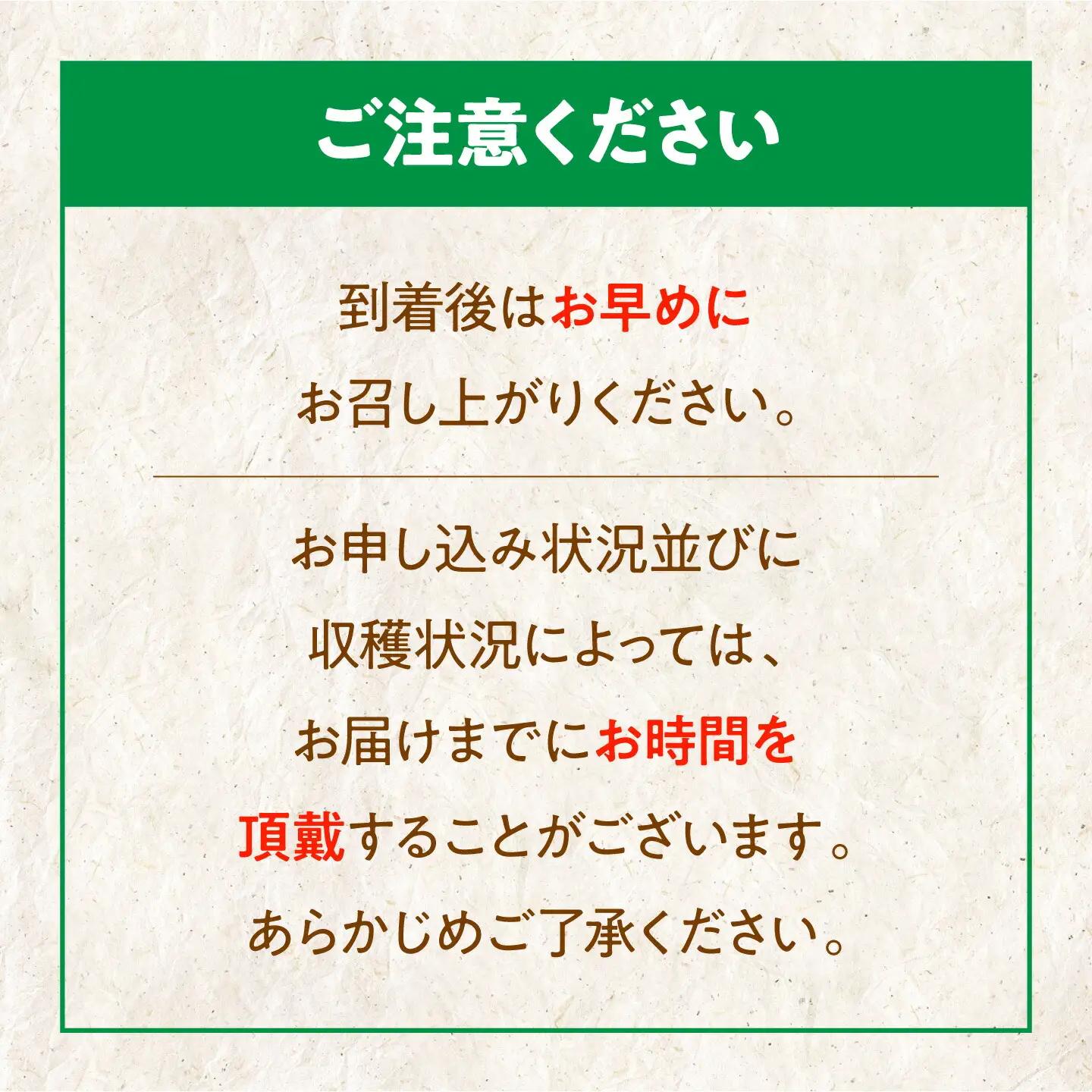 梨 2kg（新高）梨 なし [AGBD001]