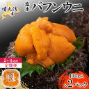 【ふるさと納税】【定期便2カ月】北海道 噴火湾産 塩水 バフンウニ 100g 2パック うに ウニ 雲丹 海鮮 海の幸 魚介類 ウニ丼 お寿司 濃厚 無添加 産地直送 産直 お取り寄せ 山村水産 送料無料　定期便・伊達市