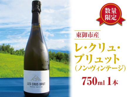 【数量限定】東御市産スパークリングワイン 1本（ぼんじゅーる農園産）| 国産 長野県 お酒