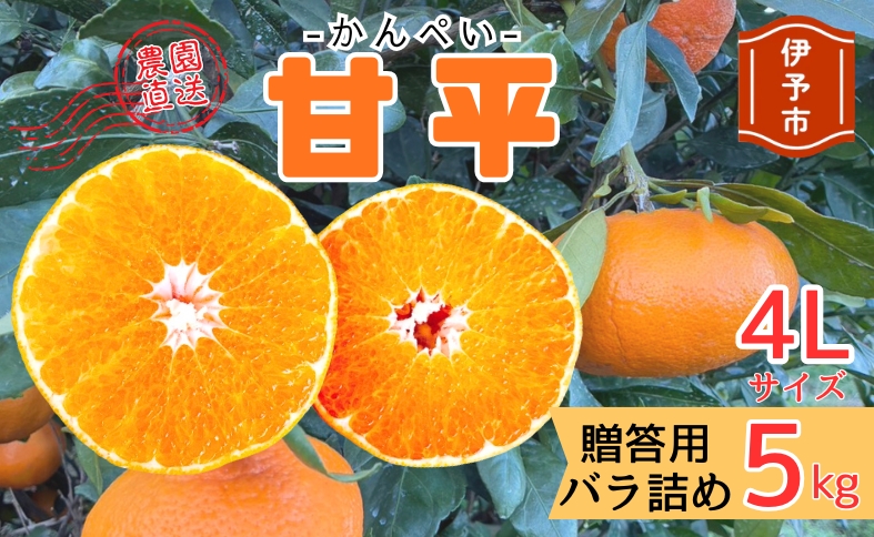 【2027年先行予約】みかん 甘平 5kg 4Lサイズ 贈答用 バラ詰め 【2027年2月上旬から順次発送予定】 農園直送 愛媛 数量限定 愛媛県産 人気 柑橘 伊予市｜C186 4Lサイズ