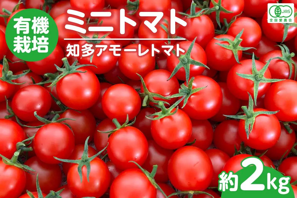 【7月から順次発送】有機栽培ミニトマト　知多アモーレトマト　約2kg