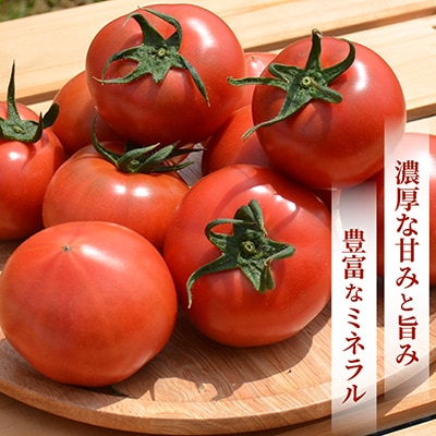 お試しサイズ!フルーツトマト「深層水トマト」約700g【濃厚な甘みと旨み】【配送不可地域：離島】