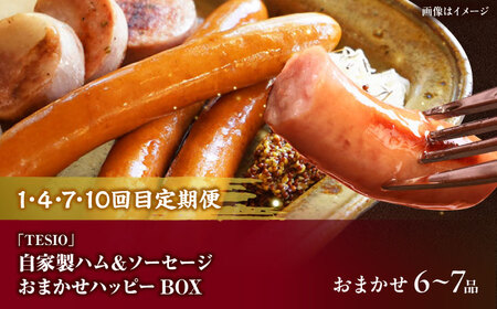 【全12回定期便】沖縄の絶品肉加工品セット【沖縄市】豚肉 ハム ソーセージ 豚まん ぶたまん ちまき 焼売 シュウマイ ハンバーグ 沖縄市 / TESIO / 豚々茶舗 / お肉屋本店[BCZZ032
