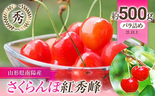 【令和6年産先行予約】 さくらんぼ 「紅秀峰」 約500g (秀 2L以上) バラ詰め 《令和6年6月下旬～発送》 『生産者おまかせ』 サクランボ 果物 フルーツ 産地直送 生産農家直送 山形県 南陽市 [892]