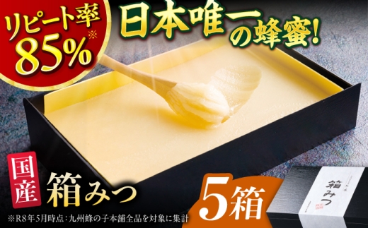 箱みつ 400g×5箱　広川町/株式会社九州蜂の子本舗 [AFAI053]