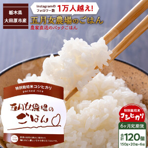 【6か月定期便】農家直送のパックごはん☆五月女農場のごはん（150ｇ×20個）