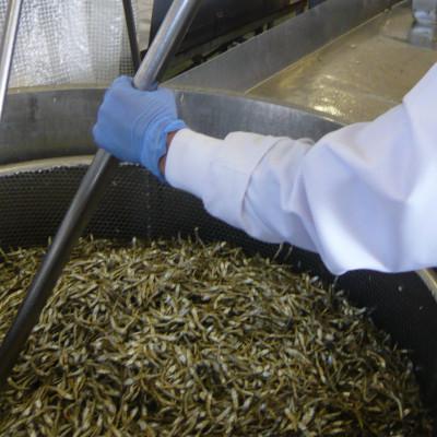 ふるさと納税 伊予市 アーモンド小魚 435g×5袋 オカベ|C66 |  | 03