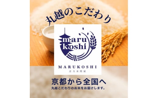 京都丹波産 きぬひかり 5kg×2 計10kg ※米食味鑑定士厳選 ※精米したてをお届け【京都伏見のお米問屋が精米】 米 白米 令和6年産 ※沖縄本島・離島への配送不可