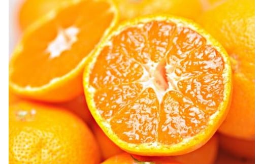 
            完熟早生みかん 家庭用 約2kg サイズ混合
          