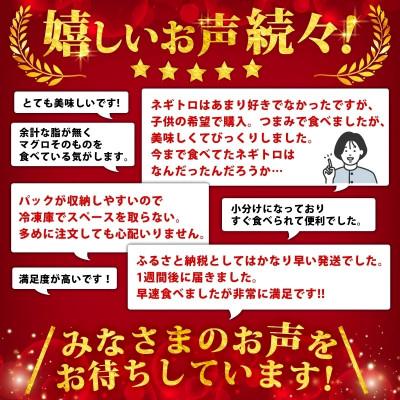 ふるさと納税 松山市 【毎月定期便】ネギトロ 月1回 800g (100g×8パック) 小分け全6回 |  | 03