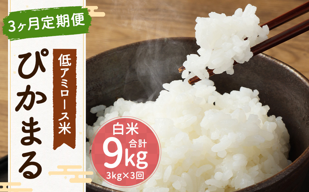 
            【新米先行予約】【3ヶ月定期便】低アミロース米 ぴかまる 3kg×3回 合計9kg 白米 米 お米 福岡県 筑後市 【2025年11月より順次発送開始予定】
          