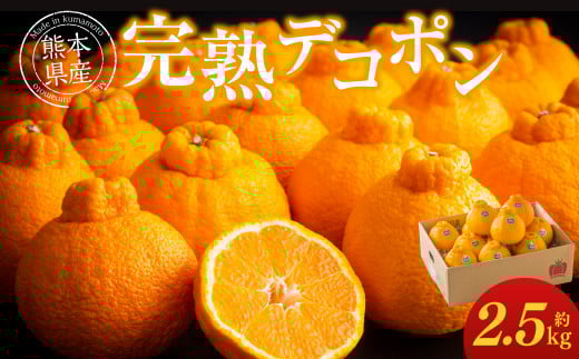 熊本県産 完熟 デコポン 計2.5kg（10～12玉） 果物 くだもの フルーツ 蜜柑 ミカン 柑橘 【2026年3月上旬～3月下旬発送予定】