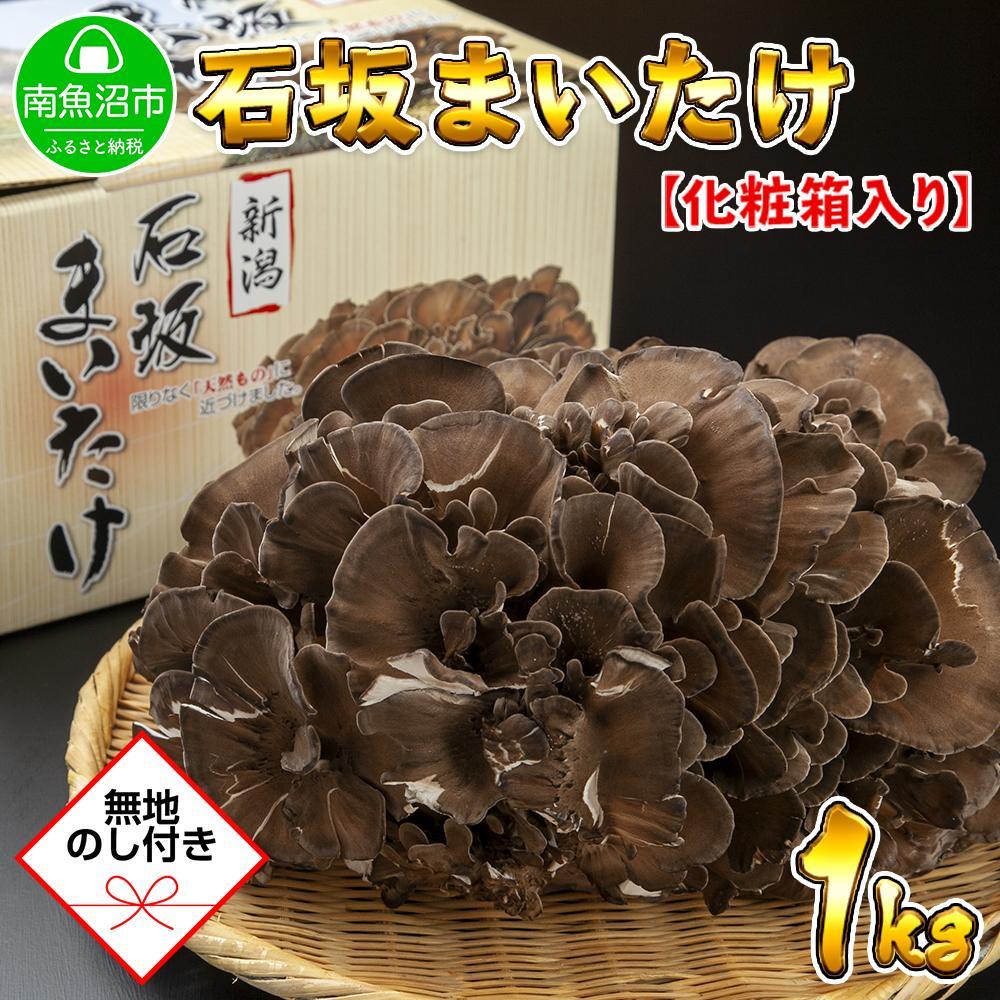 【ふるさと納税】【無地のし】 新潟県 南魚沼産 厳選 国産 石坂 高級 舞茸 まいたけ 産地直送 1kg 贈り物 ギフト お中元 お歳暮 石坂きのこ | 野菜 やさい 食品 人気 おすすめ 送料無料