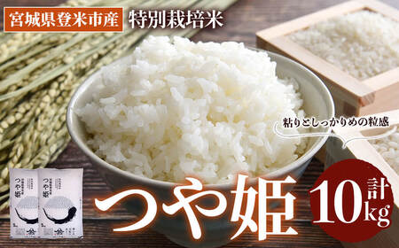 ≪令和7年産≫ 特別栽培米 つや姫 10kg (5kg×2袋)  登米市産 お米 おこめ 米 コメ 白米 ご飯 ごはん おにぎり お弁当 【登米ライスサービス株式会社】tm155