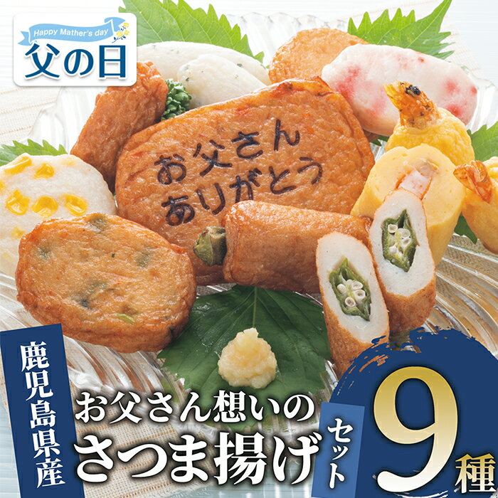 【ふるさと納税】＜父の日におすすめ！6/14までの決済完了で6/19〜6/21にお届け＞さつま揚げセット「お父さん想いのさつま揚げ」(全9種・合計20枚) 鹿児島 さつま揚げ 魚 練り物 ねりもの おでん おつまみ おやつ おかず 総菜 ギフト プレゼント 贈り物 父の日【岡村商店】
