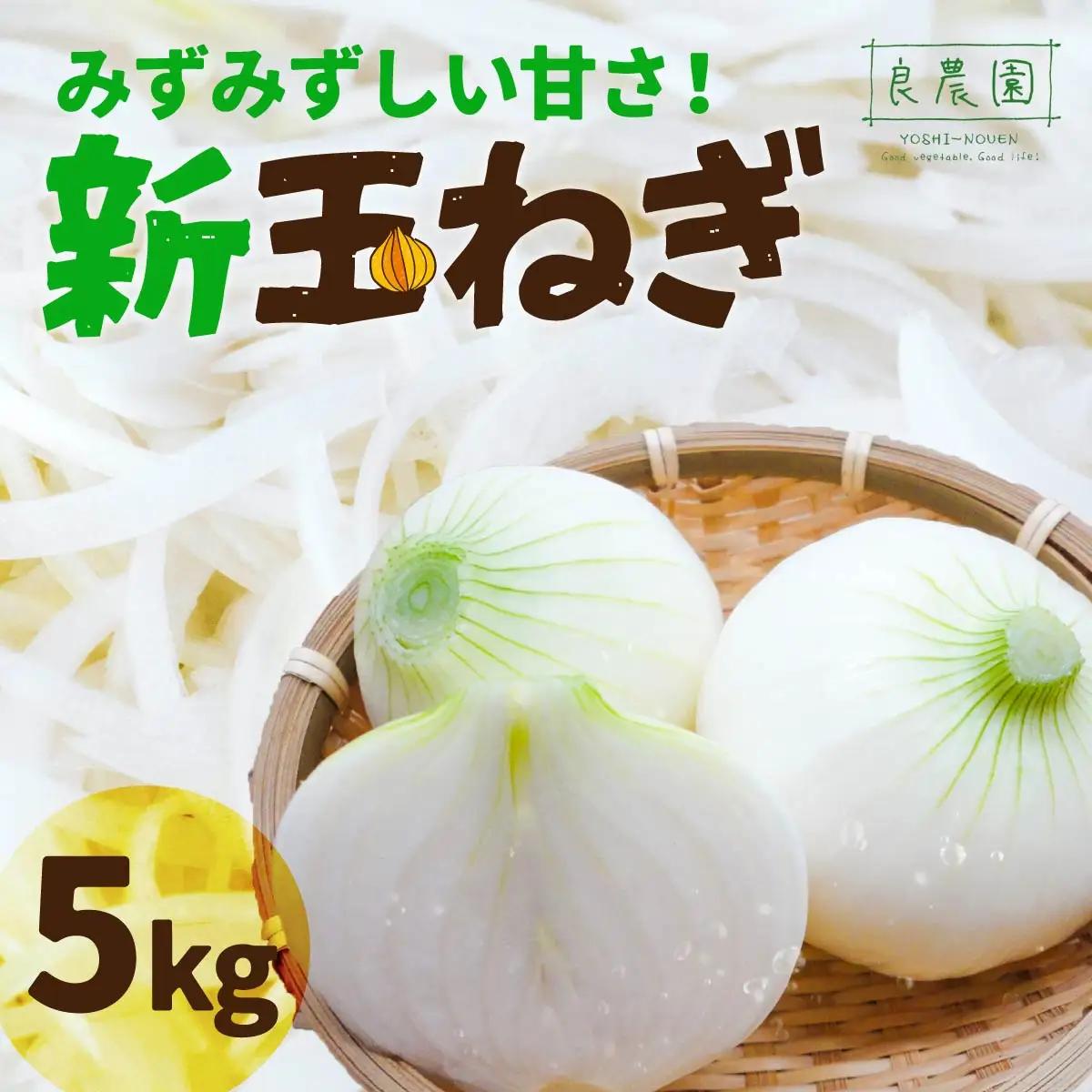 新玉ねぎ 5kg 玉ねぎ