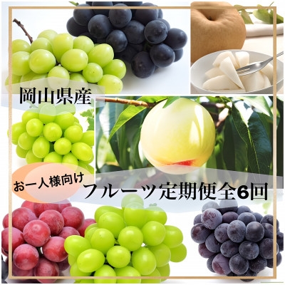 
                  ＜発送月固定定期便＞岡山県産 フルーツ定期便〈お一人様向け〉全6回_シャインマスカット 白桃 ニューピオーネ 梨 もも ぶどう 葡萄 ブドウ 果物 くだもの フルーツ 定期便 岡山県 津山市 産直 送料無料【4066369】
                
