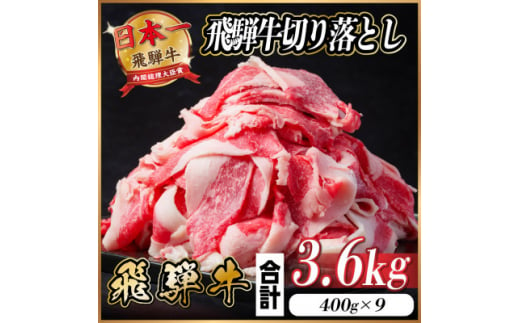 飛騨牛 切り落とし 約3.6kg(約400g×9パック)＜冷蔵便＞【1544108】