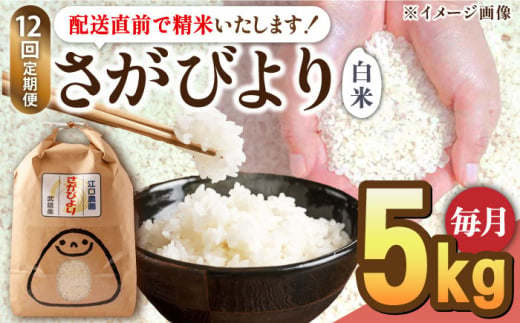 【12回定期便】令和5年産 さがびより 白米 5kg＜14年連続特A評価＞ 配送前精米/江口農園 [UBF026] 米 お米 白米 精米 ブランド米