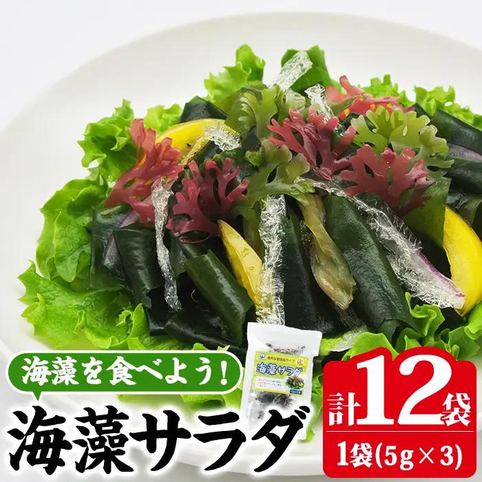 海藻サラダ (合計12袋・1袋3P入)海藻 寒天 サラダ 酢の物 スープ 常温 大分県 佐伯市【CW11】【山忠】