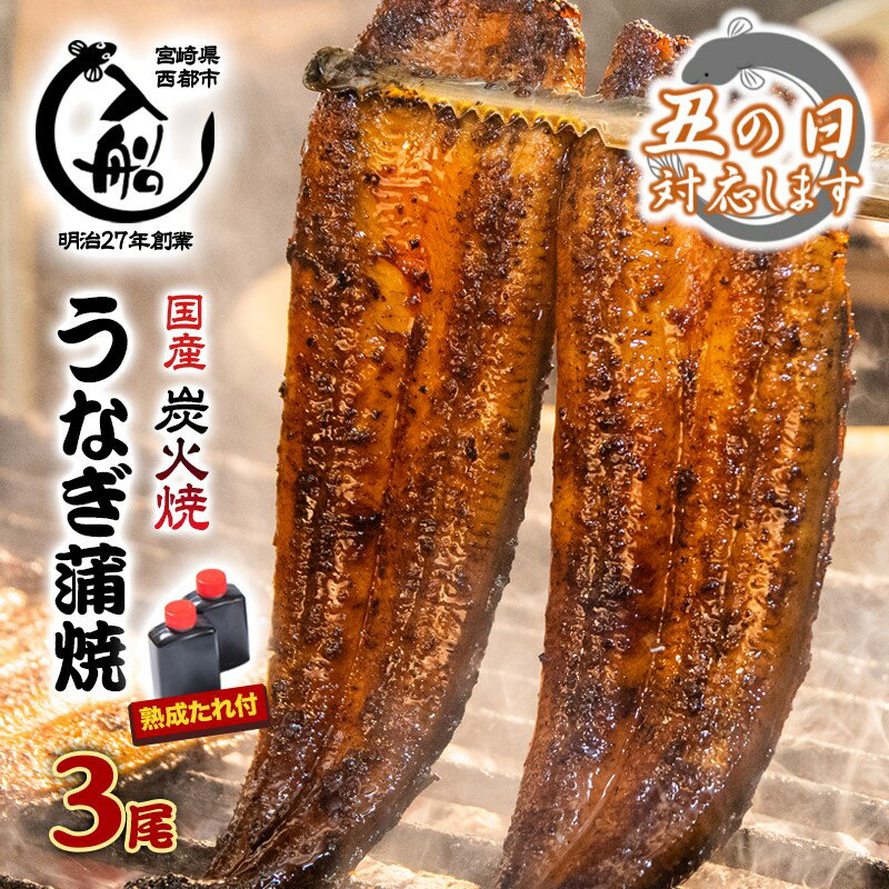 【ふるさと納税】炭火焼一筋130年「うなぎの入船」かば焼3尾（熟成たれ付）国産 うなぎ 手焼き 備長炭 炭火焼 小分け 真空パック 送料無料 さいとし サイト 丑の日対応受付中