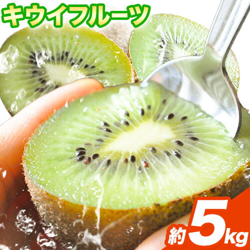 【ふるさと納税】和歌山県紀の川市産 キウイ約5kg ときわオンライン《2026年12月下旬-5月中旬頃出荷》 和歌山県 紀の川市 キウイ キウイフルーツ 果物 フルーツ 送料無料