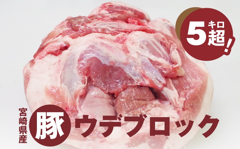 ＜宮崎県産豚ウデブロック５kg超! K16_0014_10 国産豚肉 ウデ肉 かたまり肉 5キロ 冷凍 大容量 ブロック肉 塊肉 大きい お好みにカットできる 届いたらご自宅でカット 送料無料