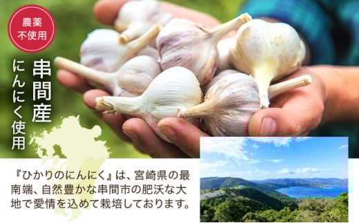 HKNID ひかりのにんにくチップ360gセット(15g×12袋・60g×3袋)【一般社団法人ひかり】