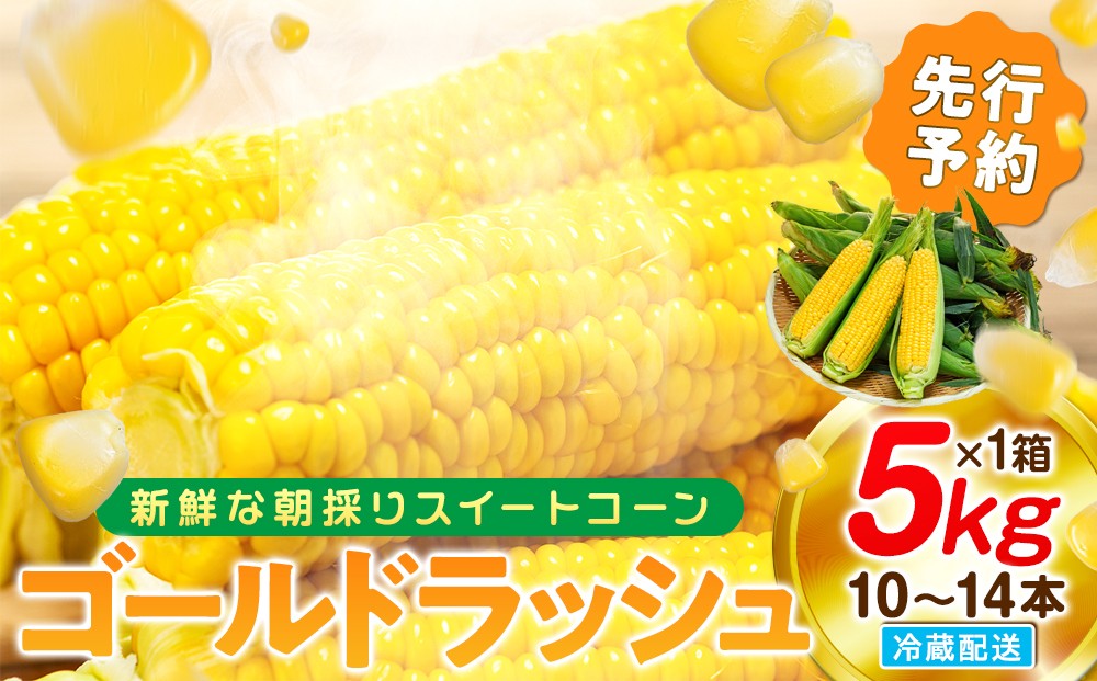 
                  【先行予約 6月下旬から出荷】 スイートコーン 約5kg 10～14本 冷蔵 国産 とうもろこし 先行予約 ミーナコーン 数量限定 コーン 野菜 新鮮 焼き 蒸し コーン 産地 直送 甘い 甘口 子ども 子供 種子 肥料 さわやか とうもろこし すっきり 糖度 黄色 人気 おすすめ スイートコーン 愛知県 南知多町 ふるさと納税とうもろこし ふるさと納税スイートコーン ふるさと納税コーン
                