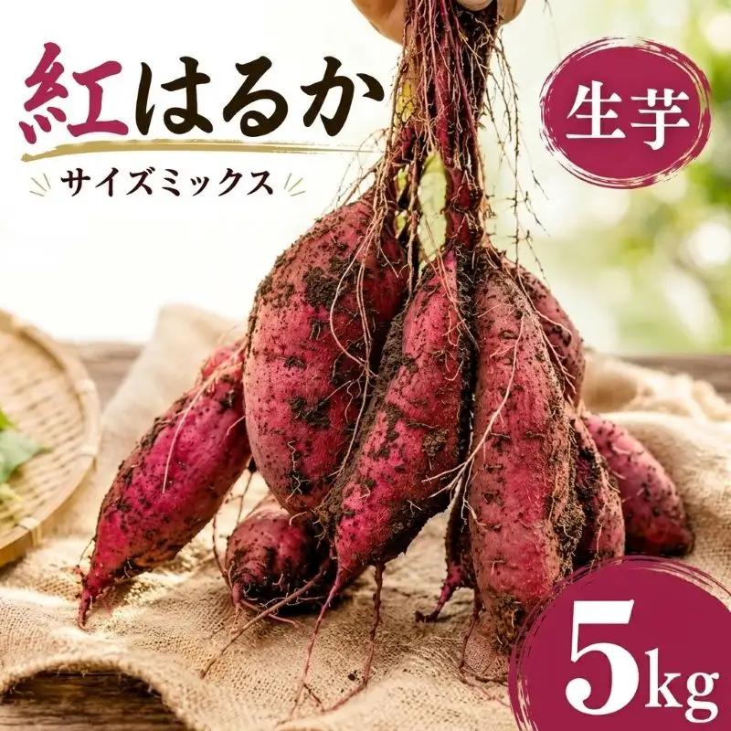 さつまいも 紅はるか 土付き サイズミックス 5kg さつまいも