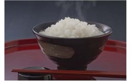 【7年産】近江米 コシヒカリ 白米 20kg 【V016W】 近江米 こしひかり