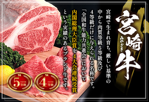 宮崎牛 ＆ 宮崎和牛（ウデ焼肉／小間切れ）計900g 国産 肉 牛肉 ご飯 おかず BBQ 焼き肉【C371-24-30】