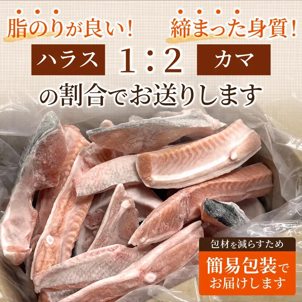 【先行受付】〈数量限定〉 知床斜里産 天然秋鮭カマ＆ハラス 1.5kg  鮭