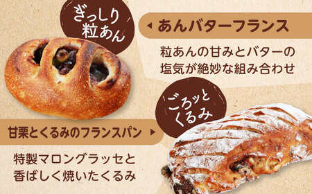【12回定期便】 ハード系パン お楽しみバラエティーセット 13～16点 【パンの店 カッタン】 パン 食パン 大人気[MEJ016]