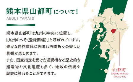 【応援寄附金】熊本県 山都町 ふるさとづくり 返礼品なし ふるさと納税 応援寄附金 応援寄付金 ふるさと応援 返礼品なし 返礼品無し (1,000,000円分)[YZZ017] 1000000 1,0