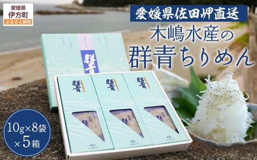 【愛媛県・佐田岬直送】木嶋水産の群青ちりめん（10g×8袋×5箱） 【ふるさと納税 人気 おすすめ ランキング 魚介類 海産物 魚 釜揚げ しらす シラス 小分け やみつき ご飯のお供 おつまみ 酒の肴 おやつ しらす丼 サラダ 海産物 魚 冷凍 お取り寄せ グルメ 食品 国産 木嶋水産 愛媛県産 愛媛県 伊方町 送料無料】 IKTP002