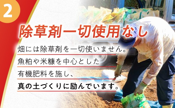 みかん ミカン 柑橘 温州みかん 果物 くだもの フルーツ 長崎みかん 長与みかん 極早生みかん 5kg