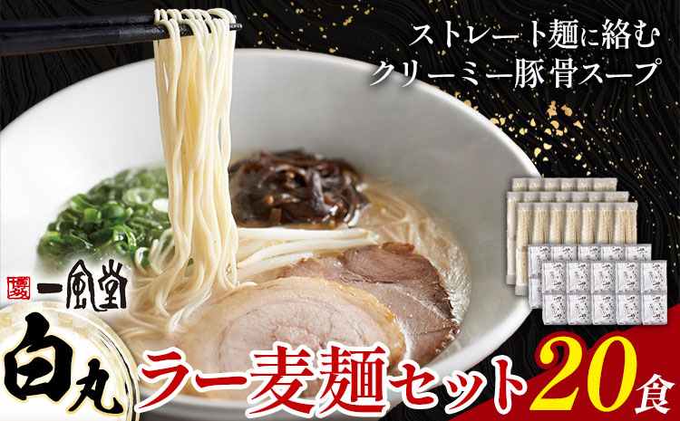 ラーメン 一風堂 白丸 ラー麦麺 20食 地域商社ふるさぽ《90日以内に出荷予定(土日祝除く)》福岡県 鞍手郡 小竹町 ラーメン とんこつ 豚骨スープ 豚骨ラーメン ラー麦 麺---sc_fsipdr_90d_26_20500_20s---