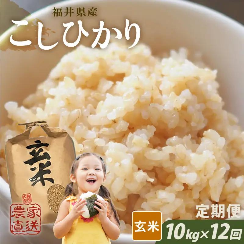 【先行予約】【令和8年産・新米】【農家直送定期便 12ヶ月コース】【玄米】 本原農園のまごころコメた 福井県産 コシヒカリ 10kg × 12回 計120kg 【2026年10月上旬以降順次発送】 [O-8908_02]