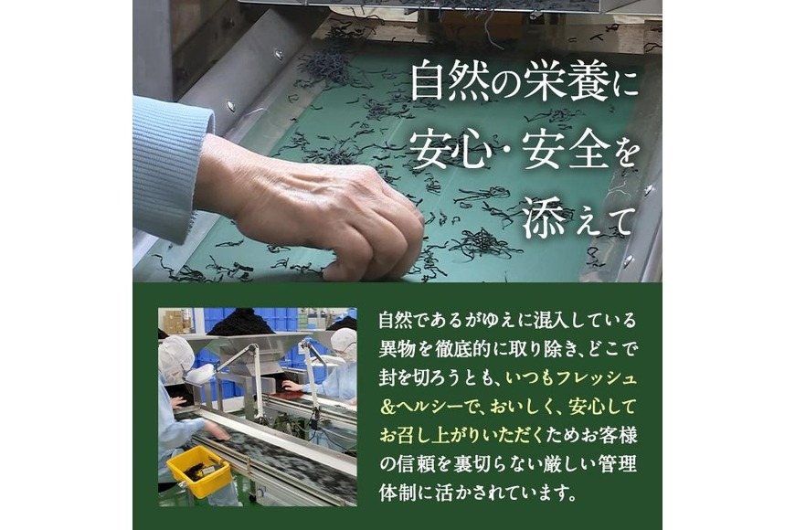 ひじき3種食べ比べセット (合計9袋・寒ひじき20g×3袋・芽ひじき30g×3袋・長ひじき27g×3袋) ひじき 乾物 国産 大分県 詰め合わせ セット 常温 大分県 佐伯市【CW09】【(株)山忠】