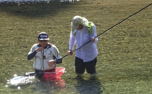 錦川 遊漁券 年券 アユを含む全魚種 / 釣り 川釣り 鮎釣り アユ 鮎 サツキマス マス コイ ウナギ モクズカニ 渓流釣り 鮎ルアー 釣り券 年間 アウトドア 趣味 清流 贈答 ギフト プレゼント
