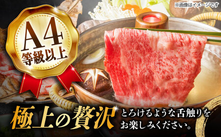 【3回定期便】飛騨牛A4等級以上 ロース 肩ロース しゃぶしゃぶ用 500g【肉の丸長】  和牛 ブランド牛 焼肉 国産  [TAZ024]