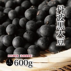 京丹波産　丹波黒大豆　Lサイズ　600g