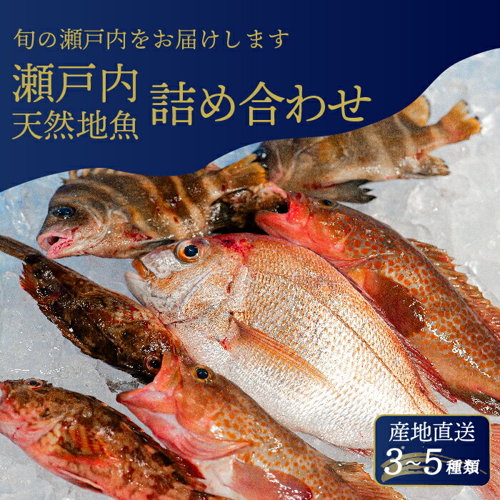 【ふるさと納税】瀬戸内産 鮮魚 地魚詰め合わせ（3～5種類）瀬戸内の天然鯛入り/ 地魚 鯛 天然鯛 真鯛 天然 鮮魚 下処理済 瀬戸内 広島県 三原市　154003