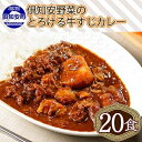 【ふるさと納税】北海道 倶知安 牛すじカレー 200g 20個 中辛 レトルト食品 加工品 時短 牛すじ 野菜 じゃがいも お取り寄せ グルメ 詰め合わせ【お肉・牛肉・加工食品・惣菜】　【倶知安町】