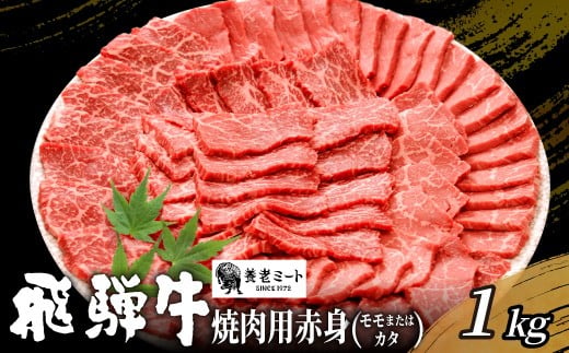 【6月発送】 贅沢！ 飛騨牛 モモまたはカタ 焼肉用 1kg 4～6人前 牛肉 和牛 肉 焼肉 BBQ 霜降り カルビ 赤身 モモ カタ 東白川村 岐阜 養老ミート