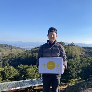 先行予約 不知火 約5kg 2026年3月上旬〜2026年5月上旬発送予定