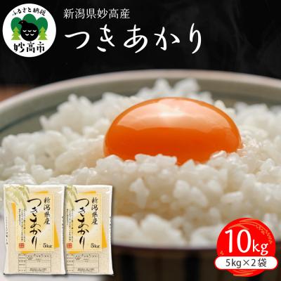 ふるさと納税 妙高市 新潟県妙高産つきあかり10kg【順次発送】