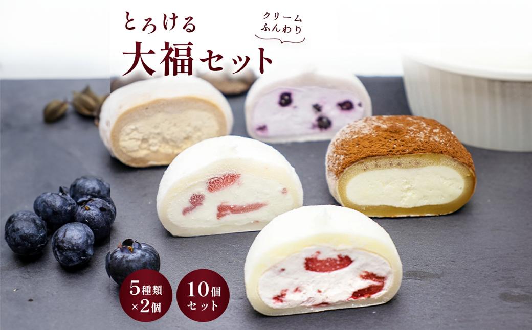 
            菓風のとろける大福〈5種×10個セット（各2個ずつ）〉いちご 練乳 チョコ ブルーベリー ティラミス 人気 スイーツ 冷凍 デザート 菓子 いちご大福 ギフト 生クリーム 大福 お取り寄せ お菓子 贈り物 おすすめ 小分け 国産 詰め合わせ 洋菓子 和菓子 個包装 一関 岩手
          