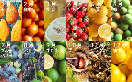 【2024年先行予約】1年かけた四万十の旬でつくるシュトーレン2024 2本セット　冬 クリスマス プレゼント スイーツ お菓子 ケーキ パン ／Ikg-104